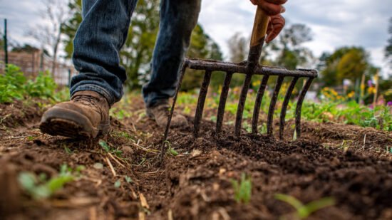 using a broadfork technique.