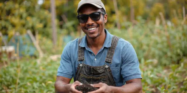 organic soil 101.