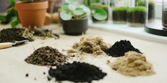 Best Organic Soil Mix for Raised Beds