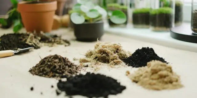 Best Organic Soil Mix for Raised Beds